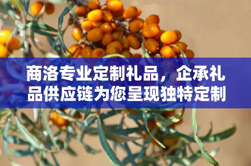 商洛专业定制礼品，企承礼品供应链为您呈现独特定制体验